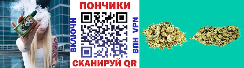 Канабис семена Светлоград